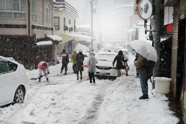 雪道の運転は肩が凝る/新潟市の接骨院きゅらのブログ